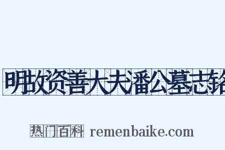 明故资善大夫潘公墓志铭是什么意思的图片